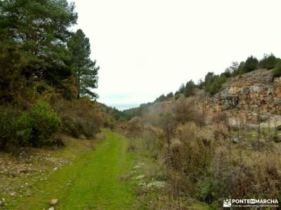 Cañones Río Lobos,Valderrueda;grupos para caminar por madrid ruta de los almendros senderismo gour